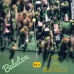Step88 Balatonlelle