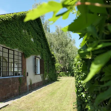 Сasa de vacaciones Step88 *