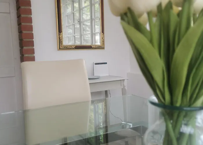 Step88 Балатонлелле